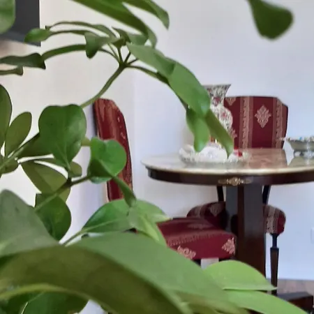 Aurora Center - Gasthuis 4*